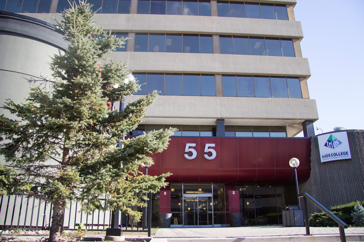 sinh vien quoc te du hoc o canada